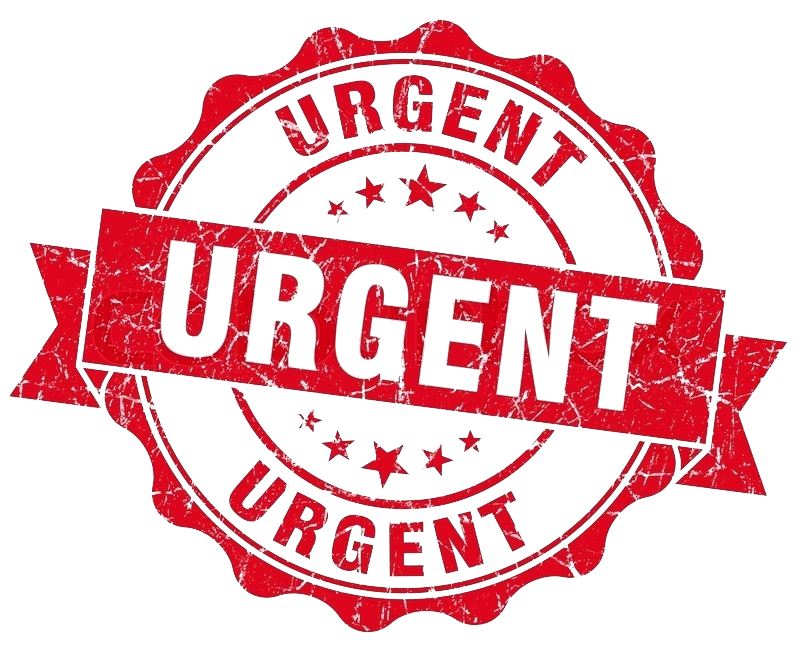  annonce 