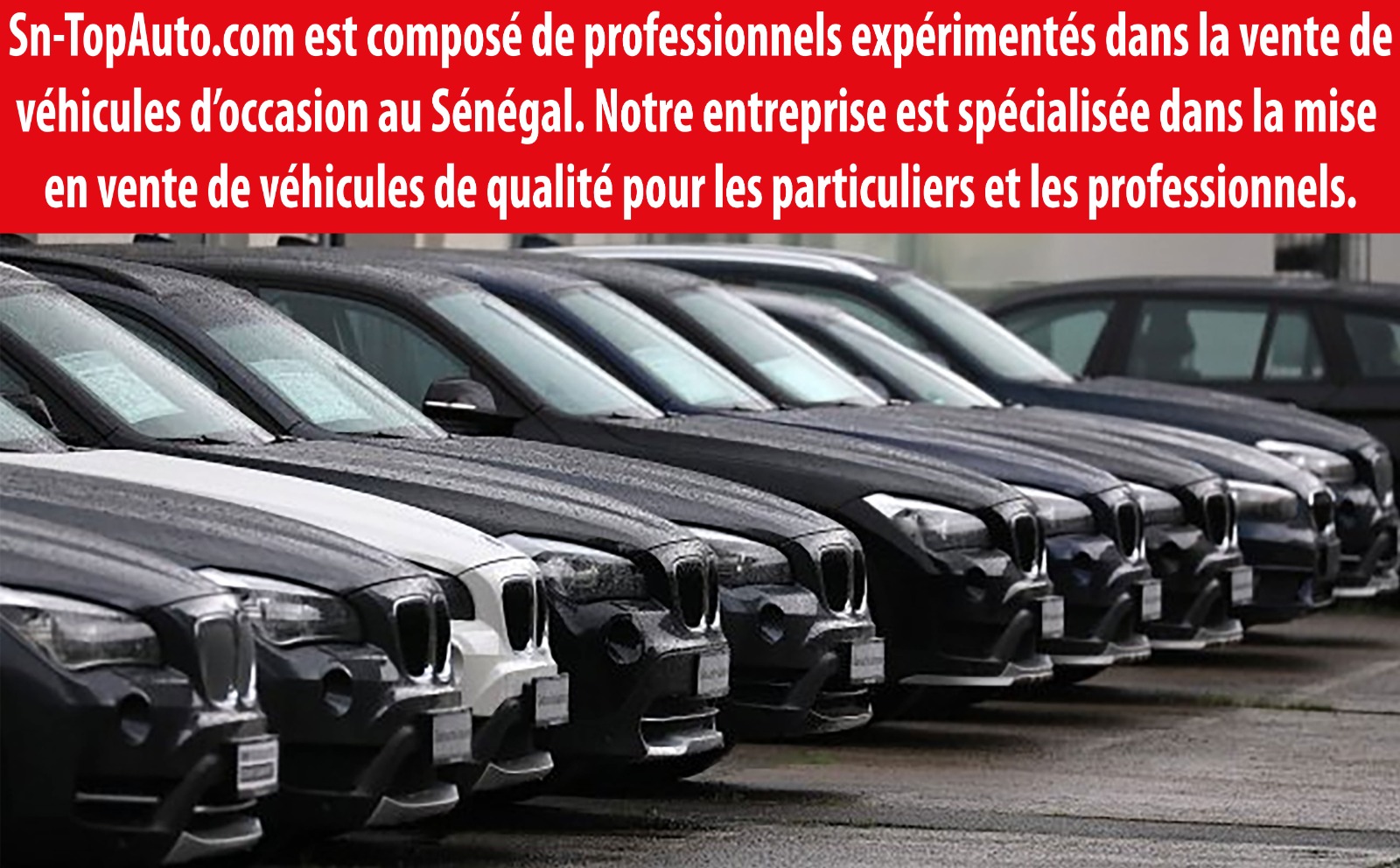 Service Sn-TopAuto 1